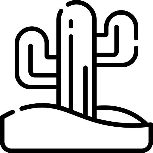 Desert