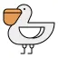 Pelican