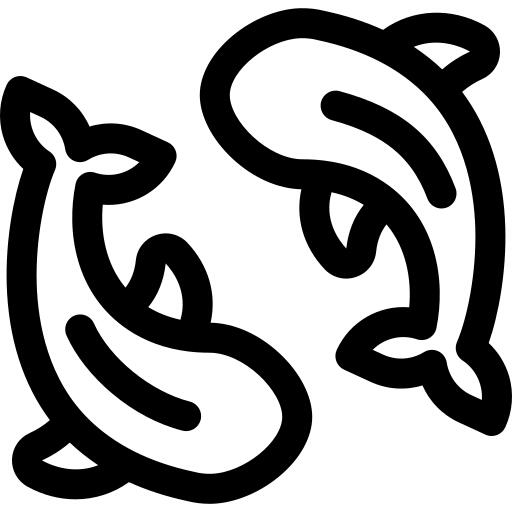 鲤鱼