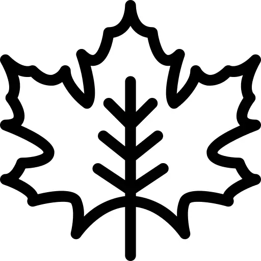 Maple leaf