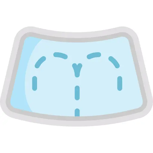Windshield