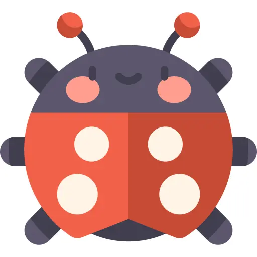 Ladybug