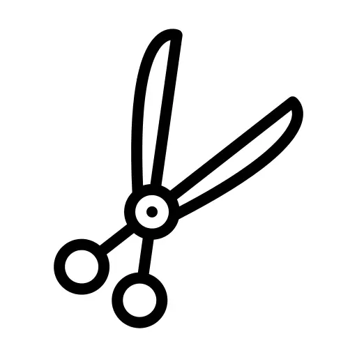 Scissors