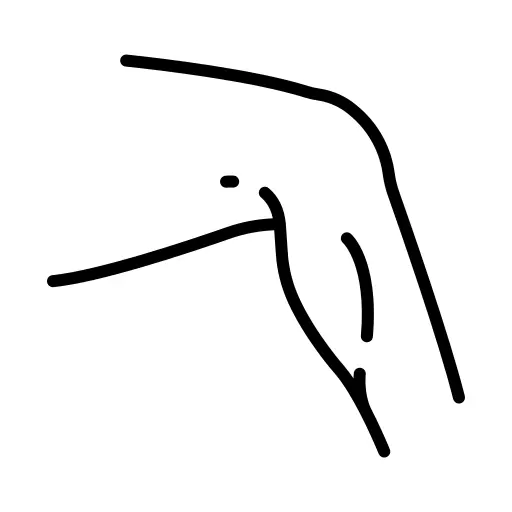Knee