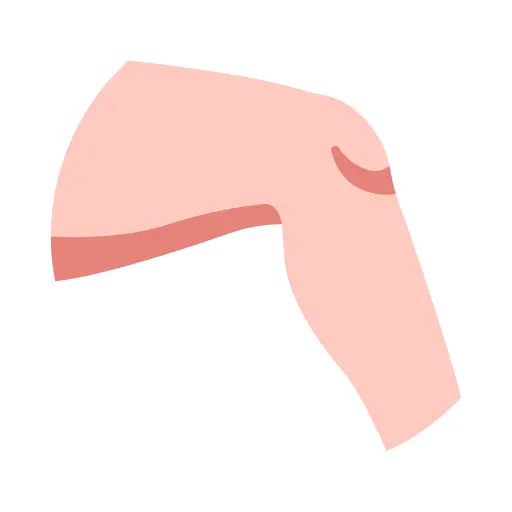 Knee