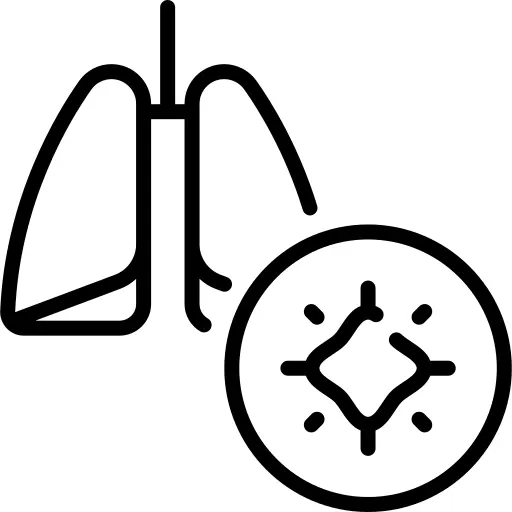 Lungs