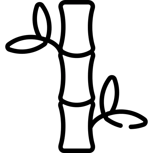 Bamboo