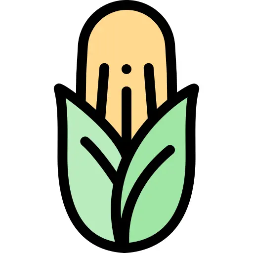 Corn