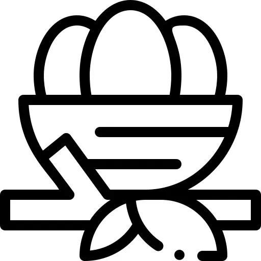 Nest