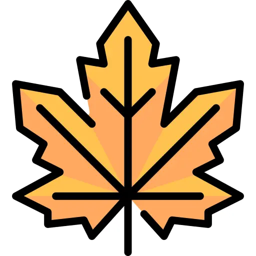 Maple leaf