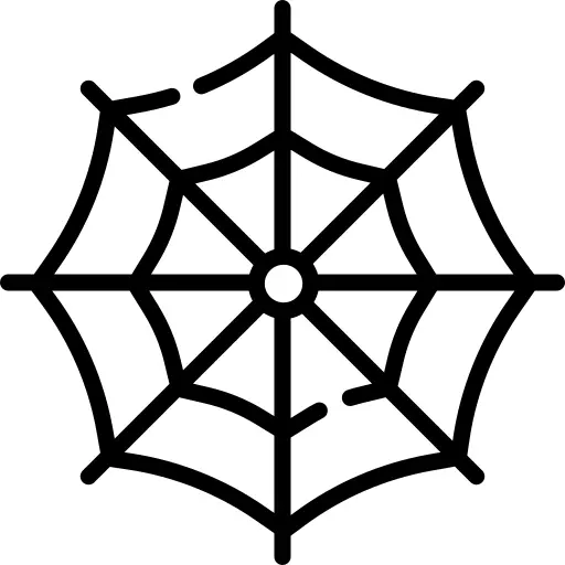 Spider web