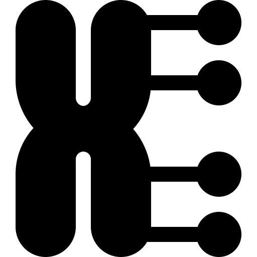 染色体
