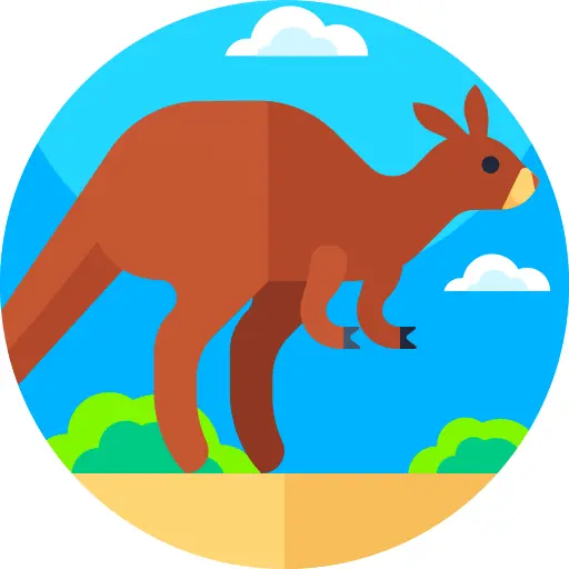 Kangaroo