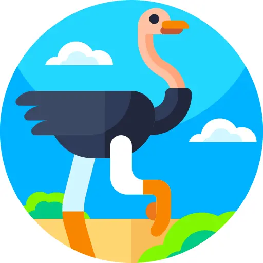 Ostrich