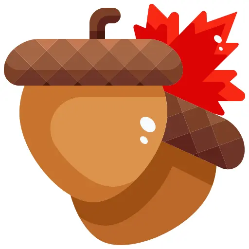 Acorn