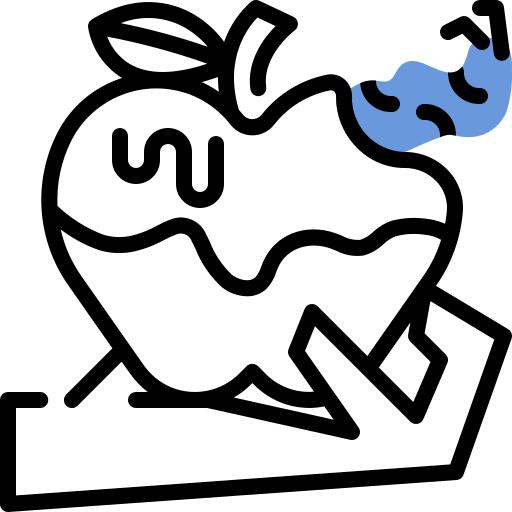 苹果