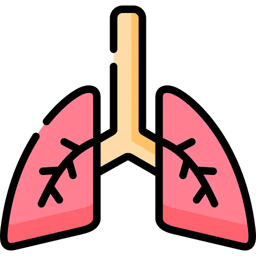 Lungs