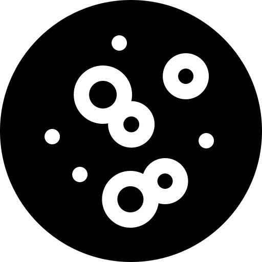胚芽