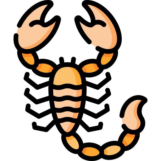 蝎
