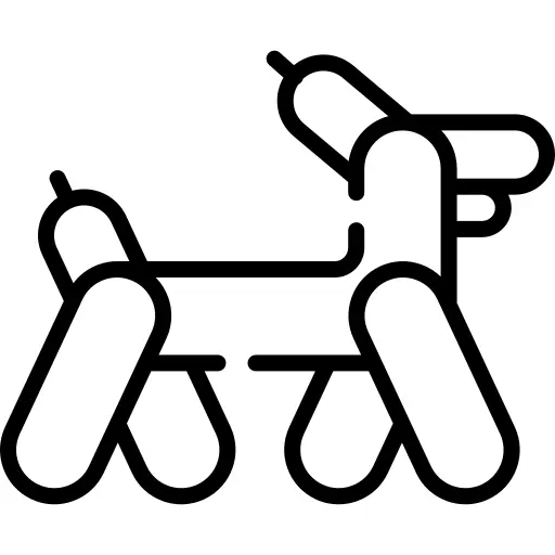 Balloon dog