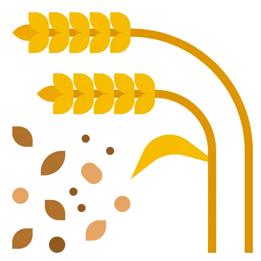 Grains