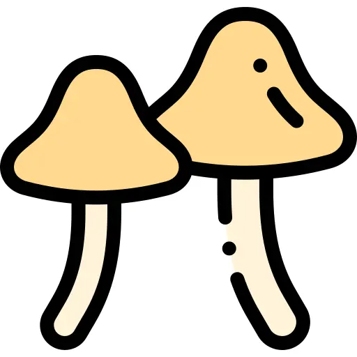 Mushrooms