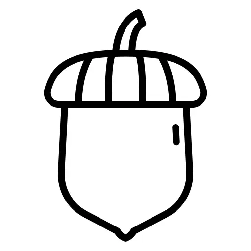 Acorn