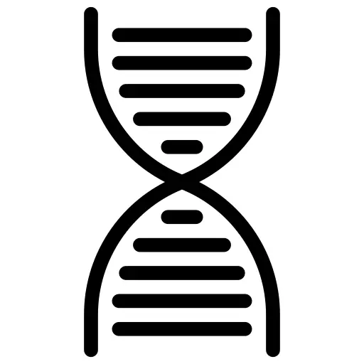 Dna