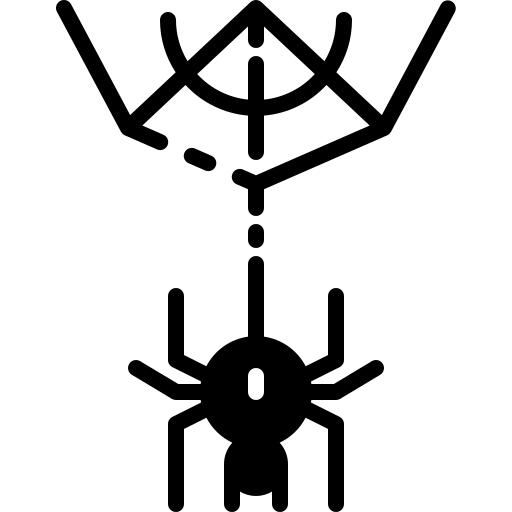 Spider web