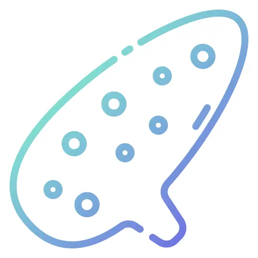 Ocarina