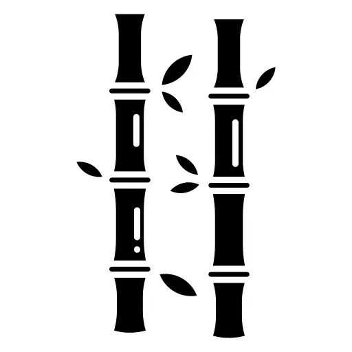 Bamboo