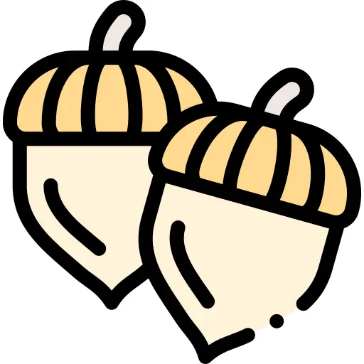 Acorn