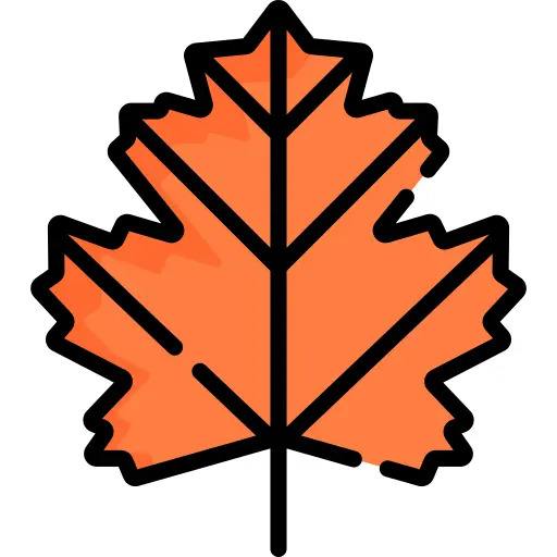 Maple leaf