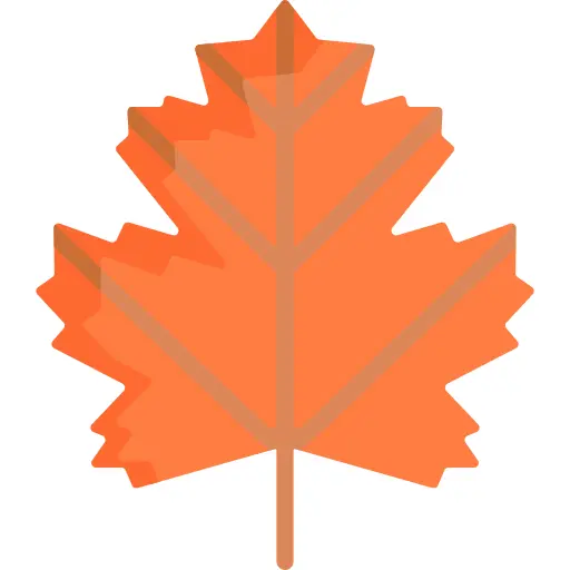 Maple leaf