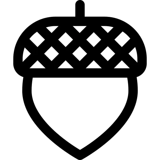 Acorn