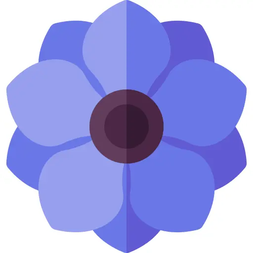 Anemone