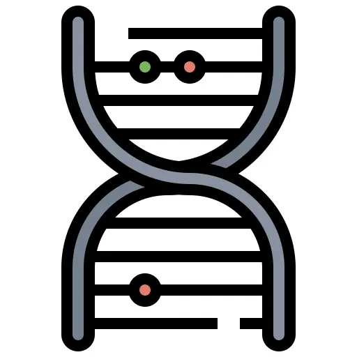 Dna structure