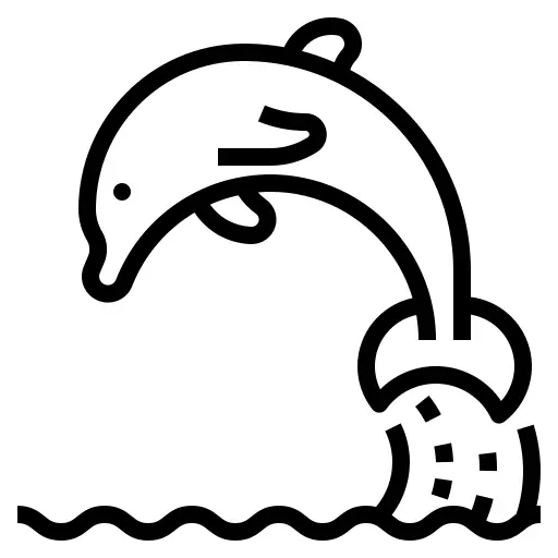 Dolphin