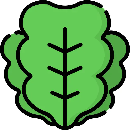 Lettuce
