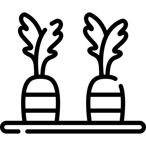 Carrots
