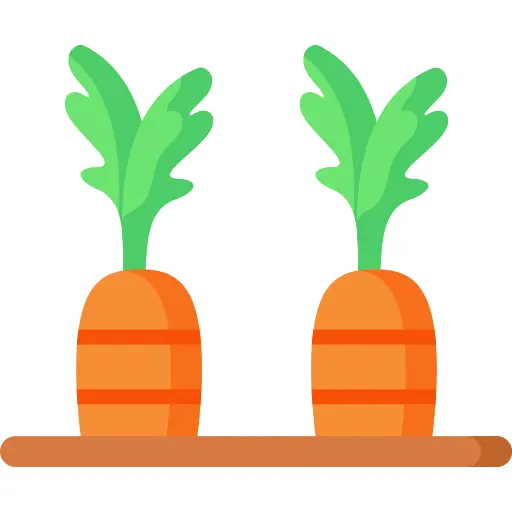 Carrots