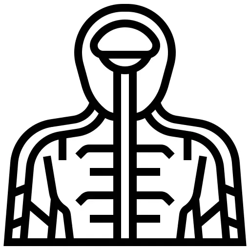 人体