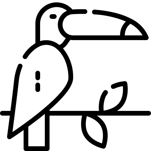 Toucan