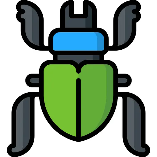 Beetle