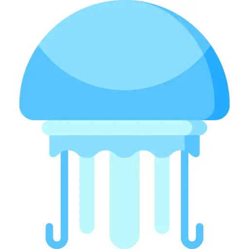 Jellyfish