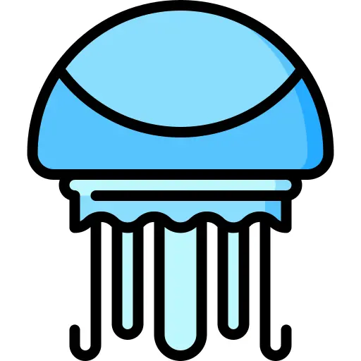 Jellyfish
