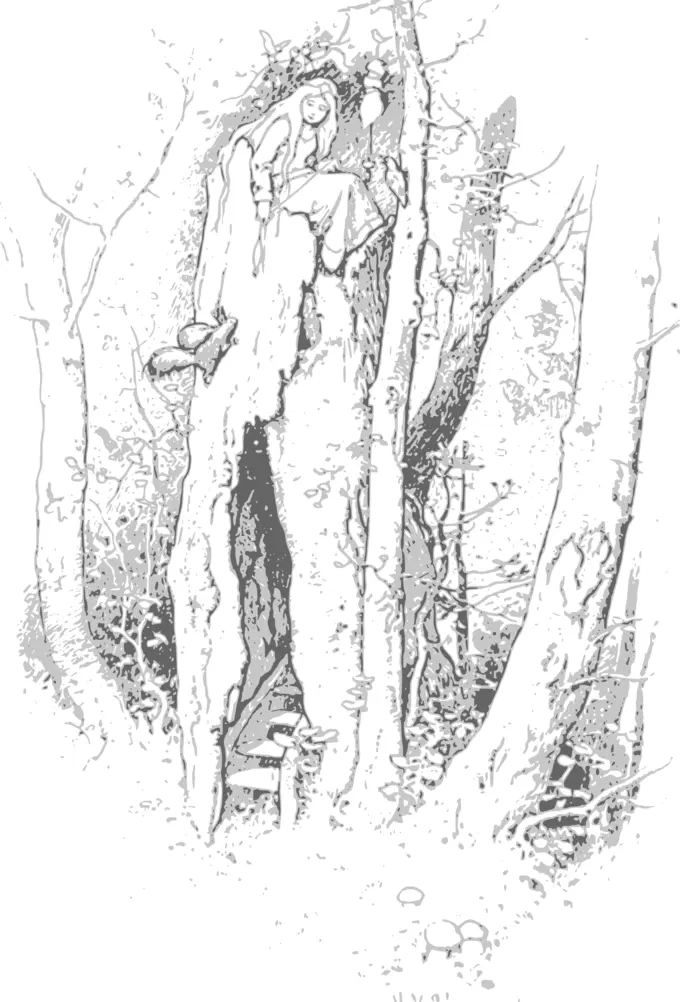 Girl in a tree