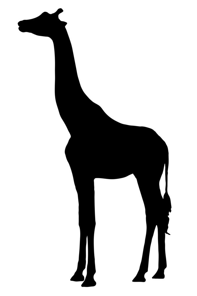 Giraffe vector silhouette