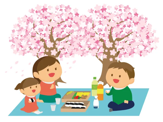 Picnic with cherry blossom