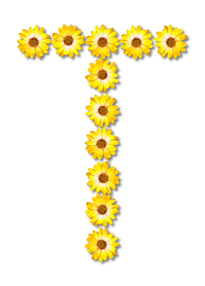 Flowery letter T